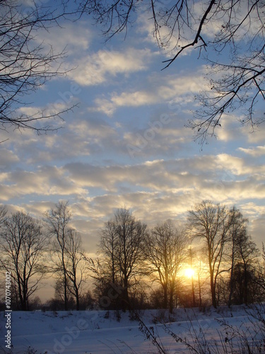 Dark trees and branches in forest and setting sun low above horizon with snow - natural view with sunset. Topics: forestry, season, winter, weather, evening, natural environment