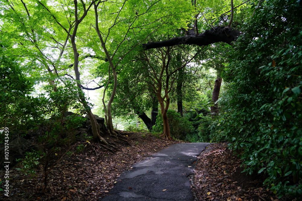 Fototapeta premium Kokyo Gaien National Garden (Tokyo, Japan)