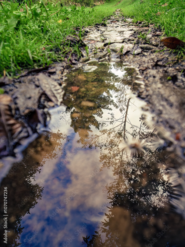 Fototapeta premium The reflection of the sky and trees in a rain puddle, in the morning, in a farm near the colonial town of Villa de Leyva, in central Colombia.