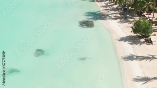 Aerial view of Saona Island in Dominican Republuc. Caribbean Sea with clear turquoise water and green palms photo