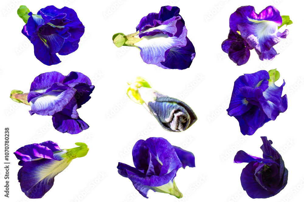 image to crop