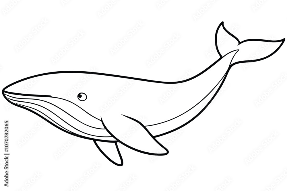 Whale line art vector illustration Whale line art vector illustration