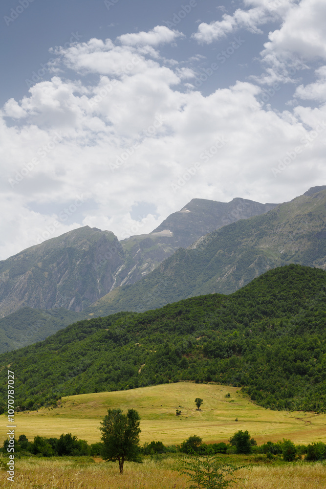 Obraz premium landscape with mountains