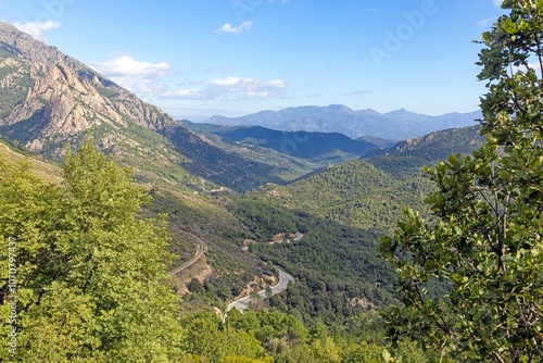 Panoramic view of Corsicas eastern coastline captured from the mountainous inland with lush greenery photo