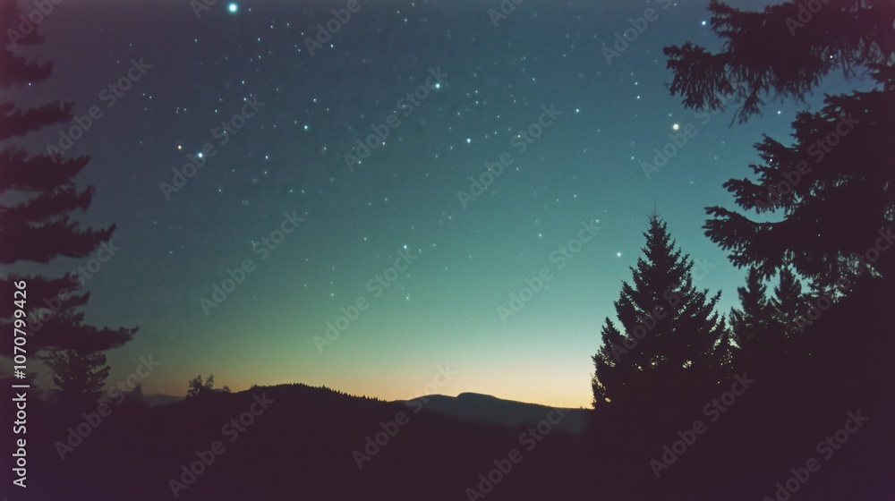 Enchanting night sky with silhouetted trees and a starry horizon Enchanting night sky with silhouetted trees and a starry horizon