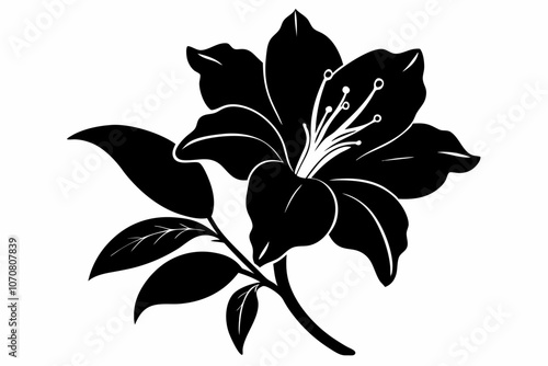 Azalea flower silhouette, Azalea vectot, Azalea silhouette black clipart	