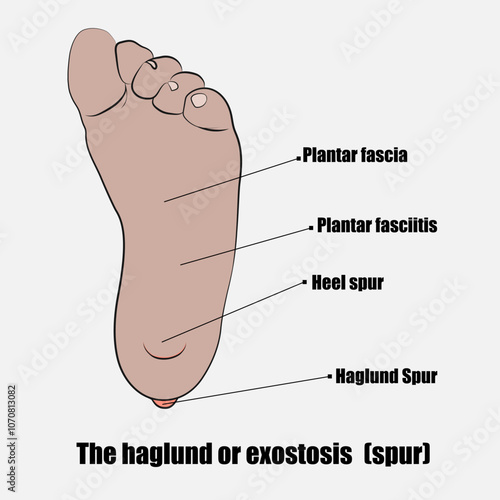 Standing executive man silhouette, vector files.