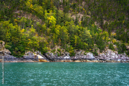 The shoreline with trees, rocks, and sea water on the Chilkoot Inlet near Skagway, Alaska photo