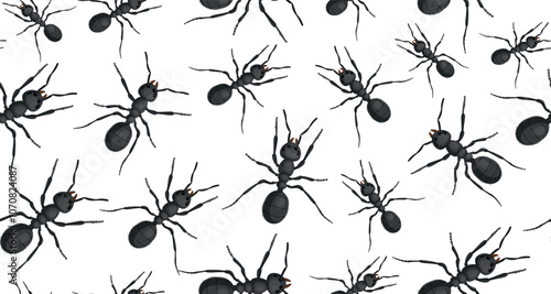 Seamless pattern of ants. Realistic black ant on white background. Path and ants. Vector.