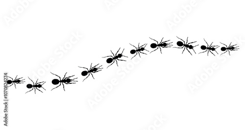 Realistic black ant on white background. Path and ants. Vector.
