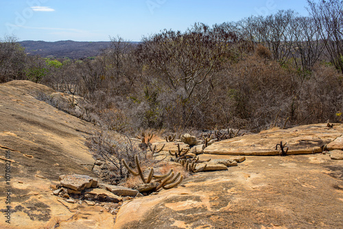 Fotografia Caatinga, Brazilian biome, vegetation and landscape in the dry season, Matureia, Paraiba, Brazil