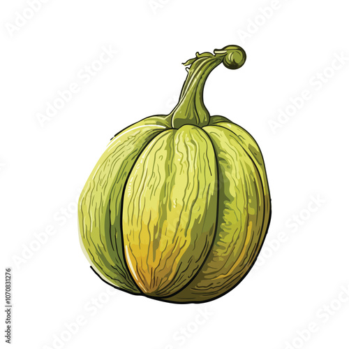 pumpkin isolated on white background