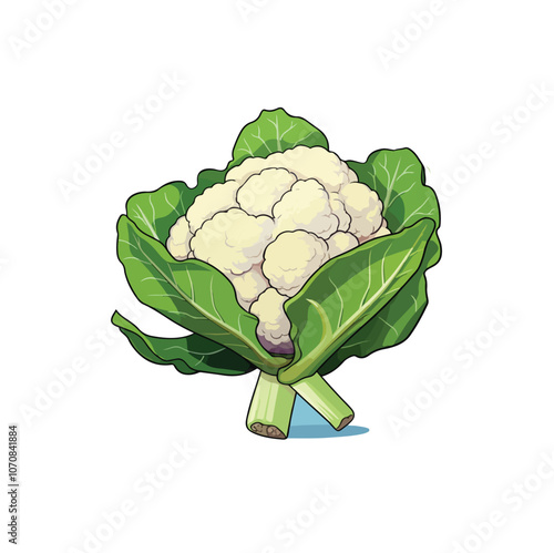 cauliflower and broccoli