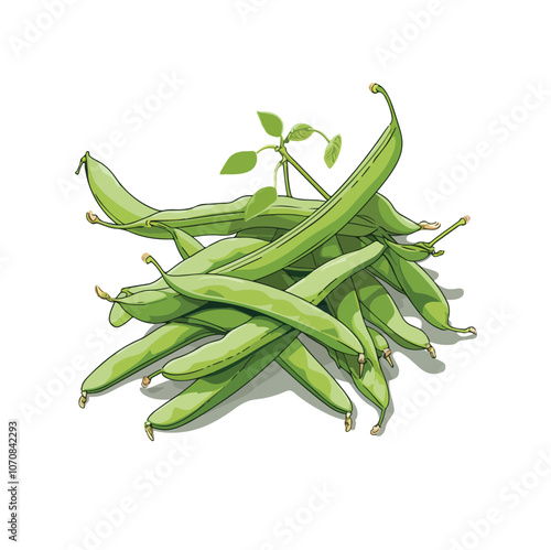 green beans isolated on white