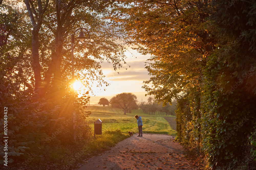 Serene Path Through Vibrant Woods at Sunset: A Woman Enjoys the Falling Leaves and Rolling Hills Under a Colorful Sky. Serene Path Through Vibrant Woods at Sunset: A Woman Enjoys the Falling Leaves and Rolling Hills Under a Colorful Sky.