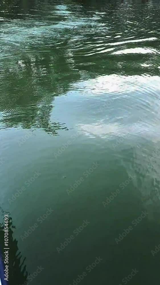 waves on the water. close-up. vertical video waves on the water. close-up. vertical video