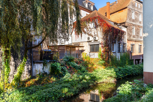 Wild and colourful nature in the city centre of Bensheim, Bergstrasse, Germany