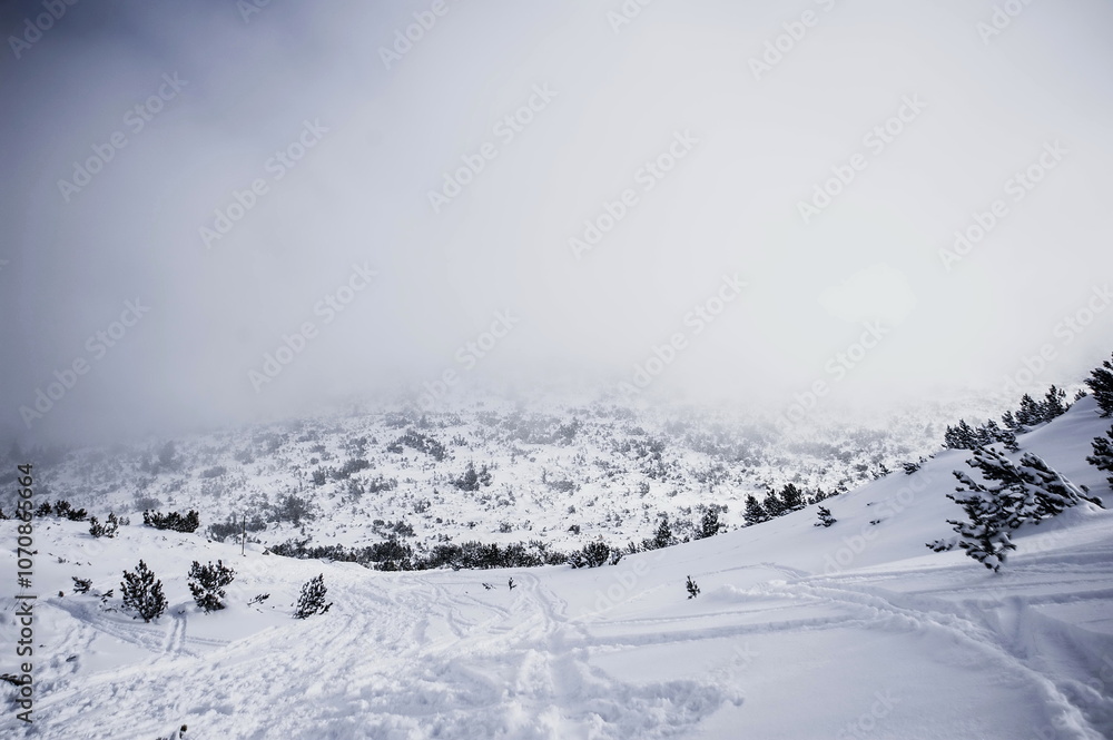 winter landscape with snow and trees in mountains winter landscape with snow and trees in mountains