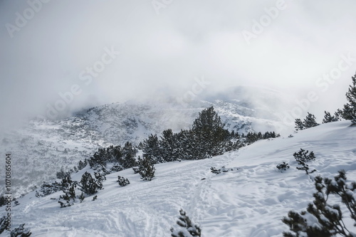winter landscape with snow and trees in mountains