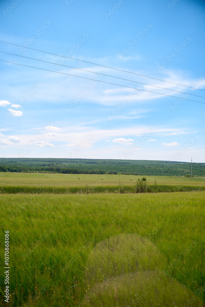 Obraz premium field and blue sky