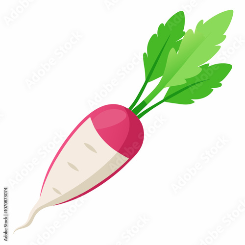 illustration of a red radish
