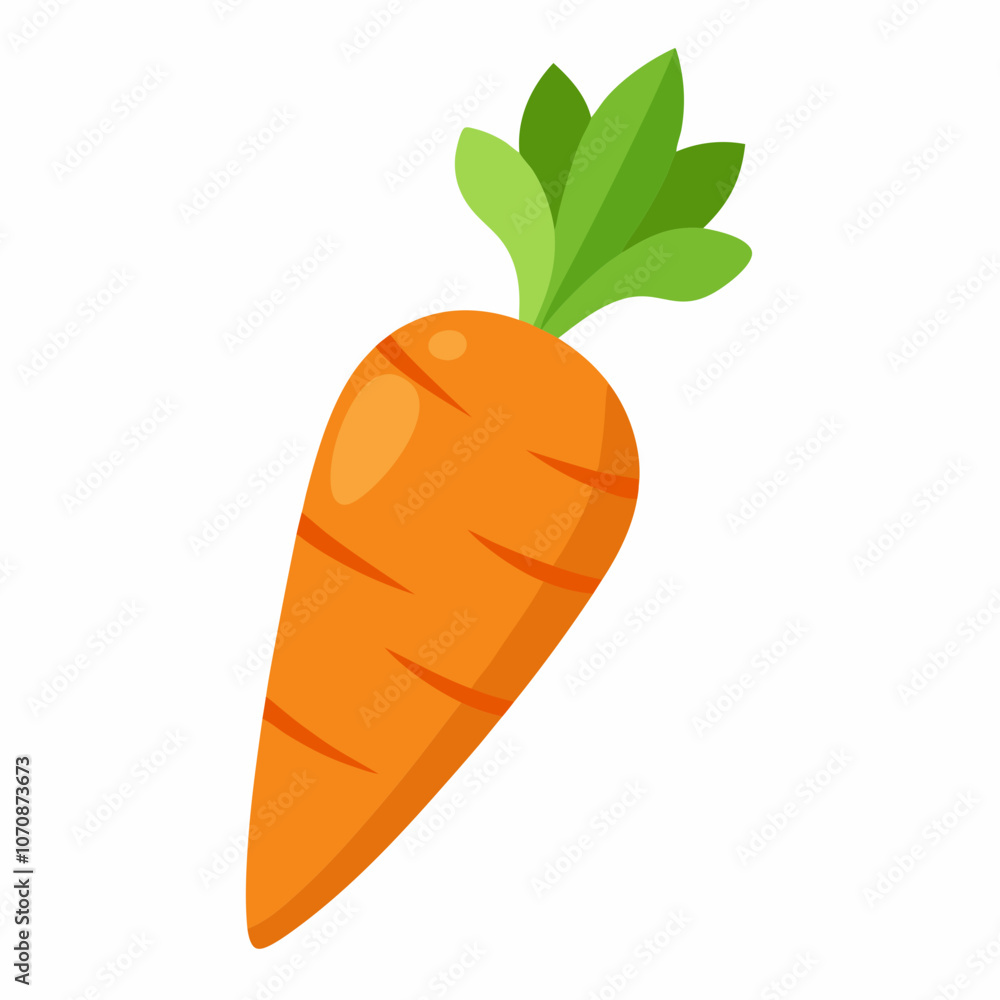 carrot isolated on white carrot isolated on white