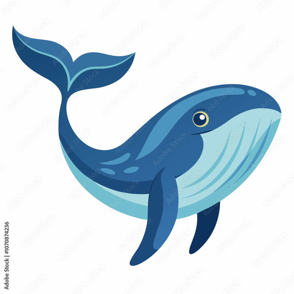 illustration of a cartoon shark illustration of a cartoon shark