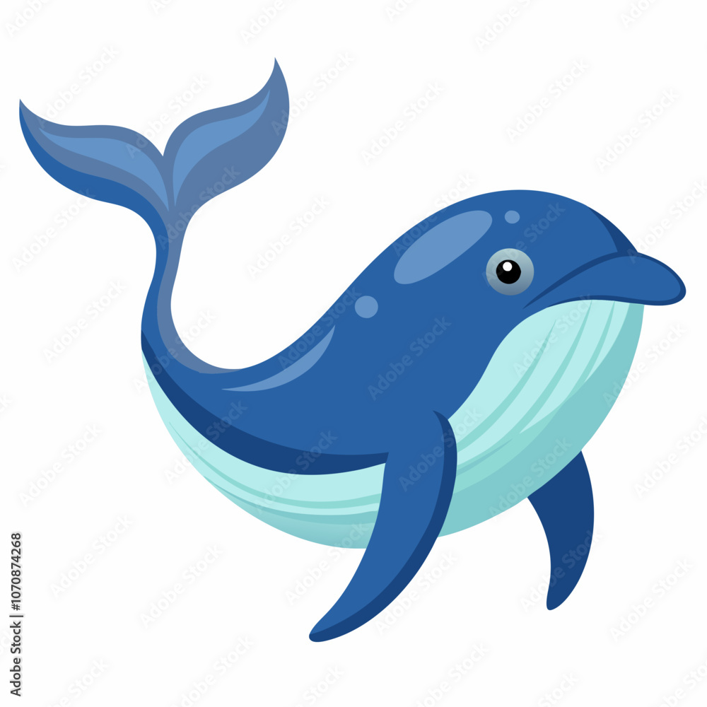 illustration of a cartoon shark illustration of a cartoon shark