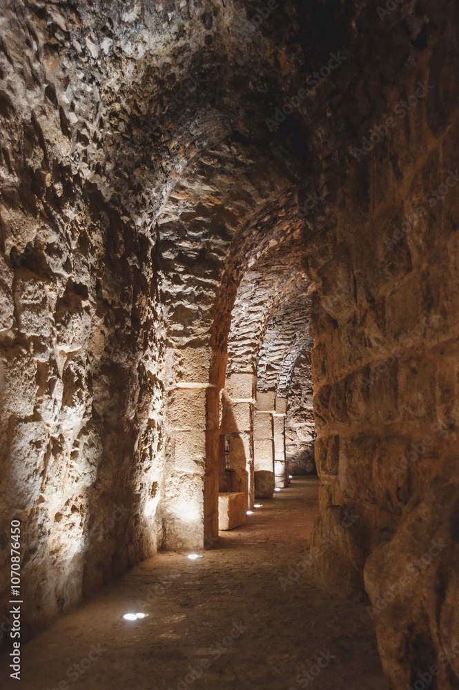 Obraz premium ancient medieval castle in Jordan
