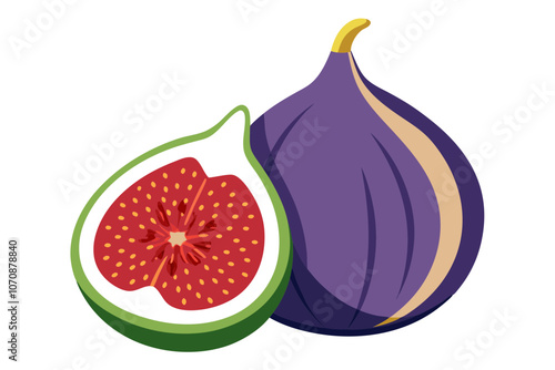 Fresh Fig Fruit Vector Illustration with a Juicy Slice