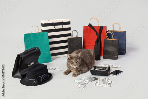 Cute cat with shopping bags...