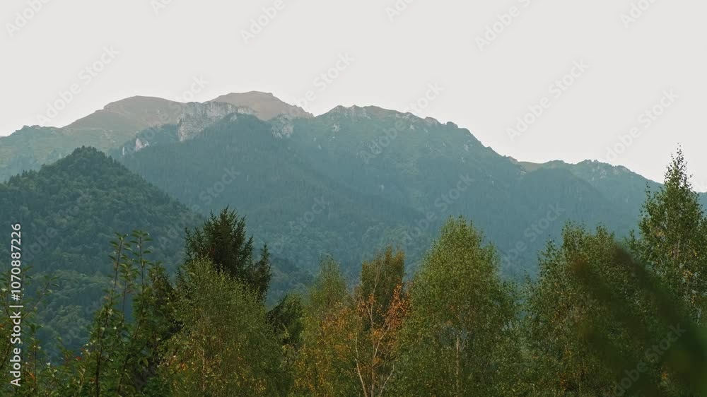 The breathtaking view of majestic mountains accompanied by vibrant trees creates a serene and natural atmosphere The breathtaking view of majestic mountains accompanied by vibrant trees creates a serene and natural atmosphere