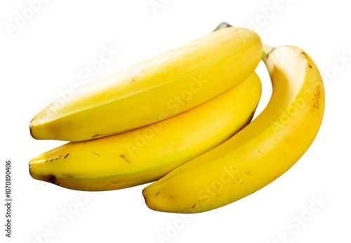 Three ripe bananas lie on white surface. Isolated over white background