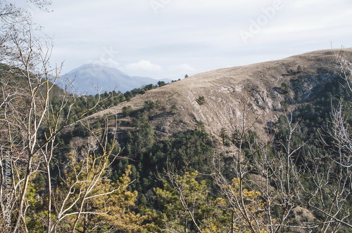 view in the mountains