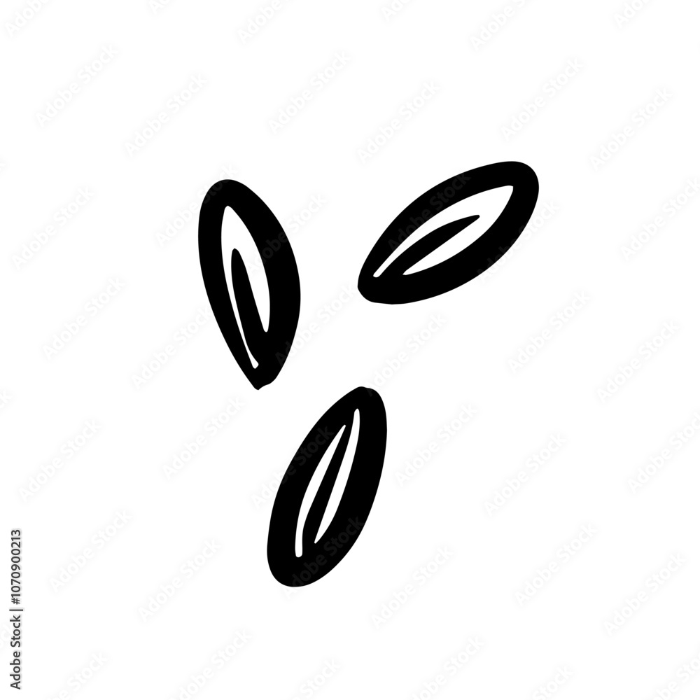 Three doodle seeds are arranged on a plain white background, emphasizing simplicity and nature. Three doodle seeds are arranged on a plain white background, emphasizing simplicity and nature.