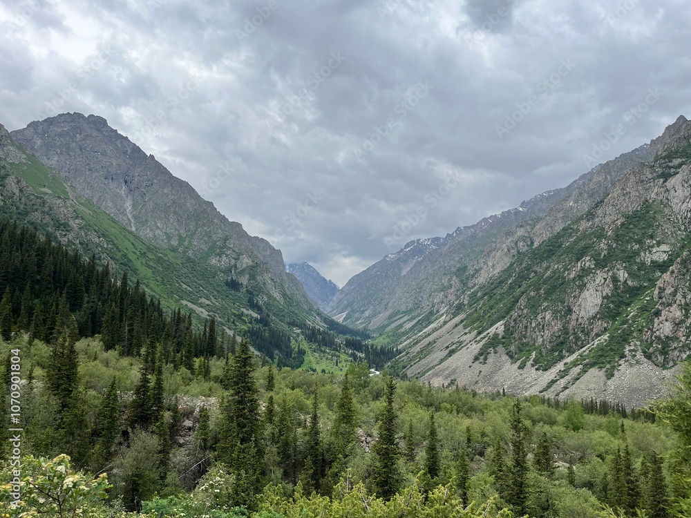 Fototapeta premium in the mountains