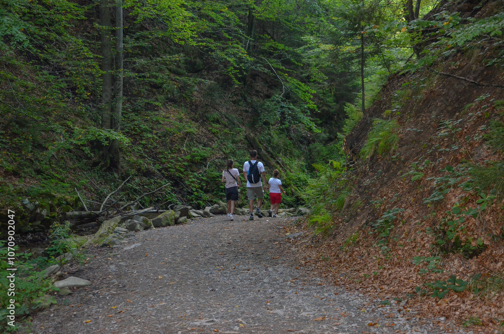 Fototapeta premium Tourists in the Beskid Mountains on their way to Barania Gora
