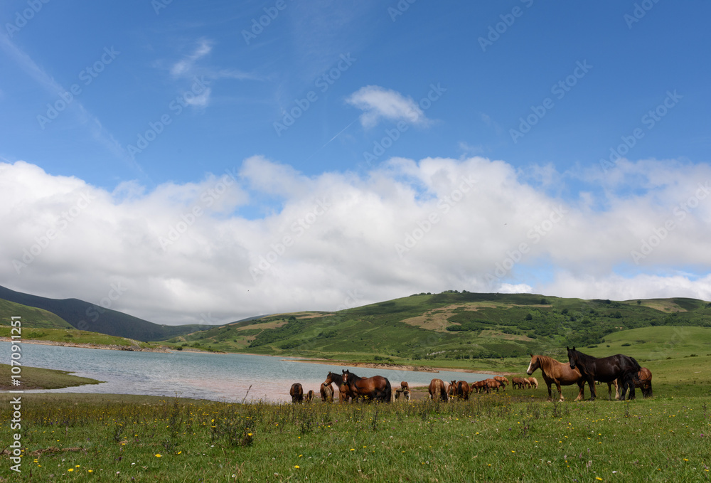 Obraz premium Paisaje de montaña con manada de caballos pastando junto a un embalse en las montañas del norte de España.