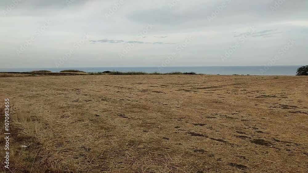 Vasto - Campi coltivati nella Riserva Naturale Punta Aderci Vasto - Campi coltivati nella Riserva Naturale Punta Aderci