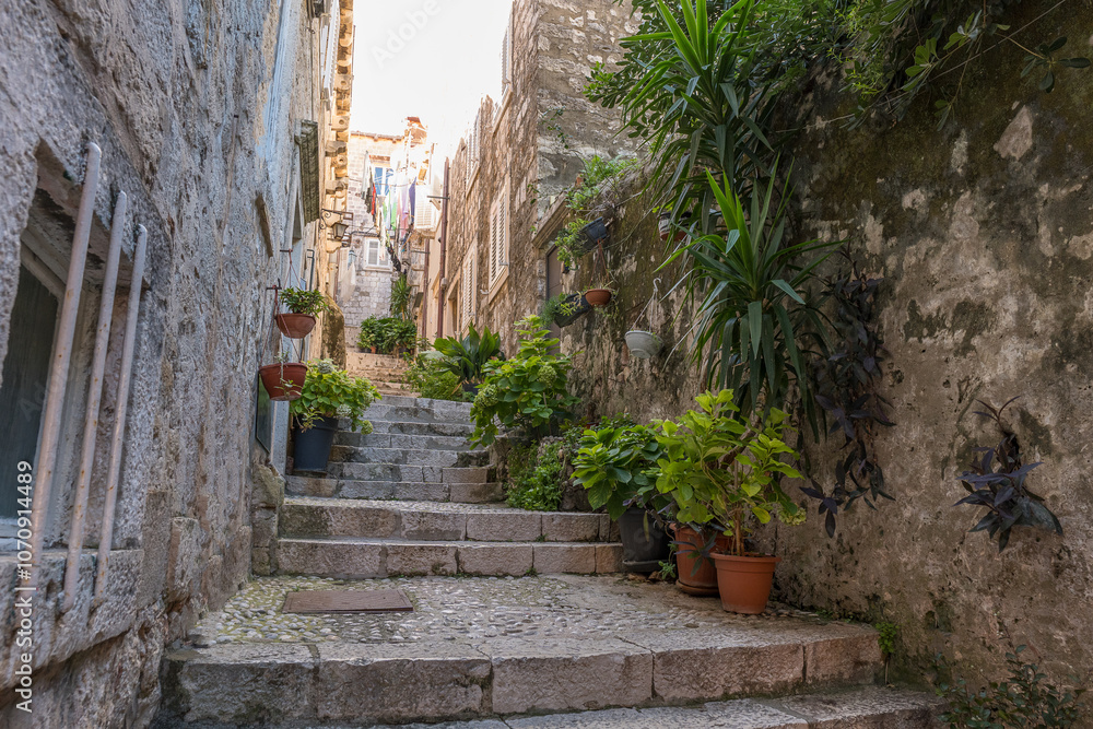 Obraz premium Narrow street in the old medieval town of mediterranean country with lot of flowers