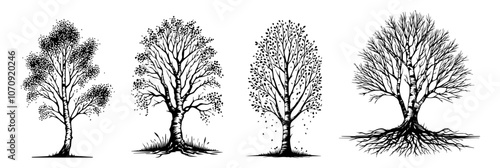 black and white illustration of diverse tree designs
