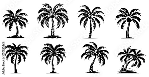 tropical palm trees, black vector silhouette icons