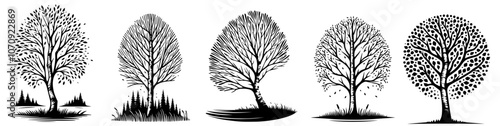 five tree silhouettes with delicate branches and rounded canopies, black vector