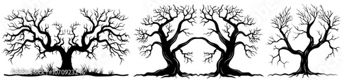bare tree silhouettes with twisted branches and unique shapes, black vector