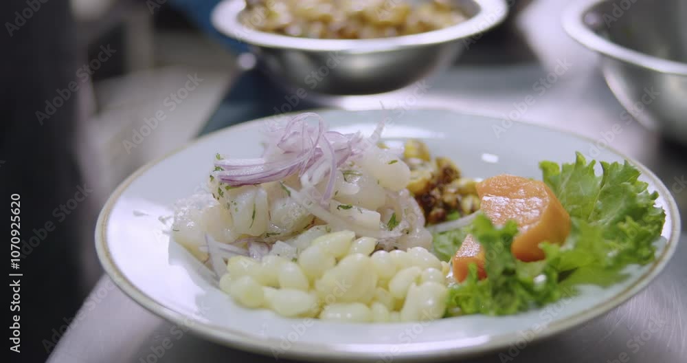 Preparing Authentic Peruvian Ceviche – Culinary Stock Video Preparing Authentic Peruvian Ceviche – Culinary Stock Video