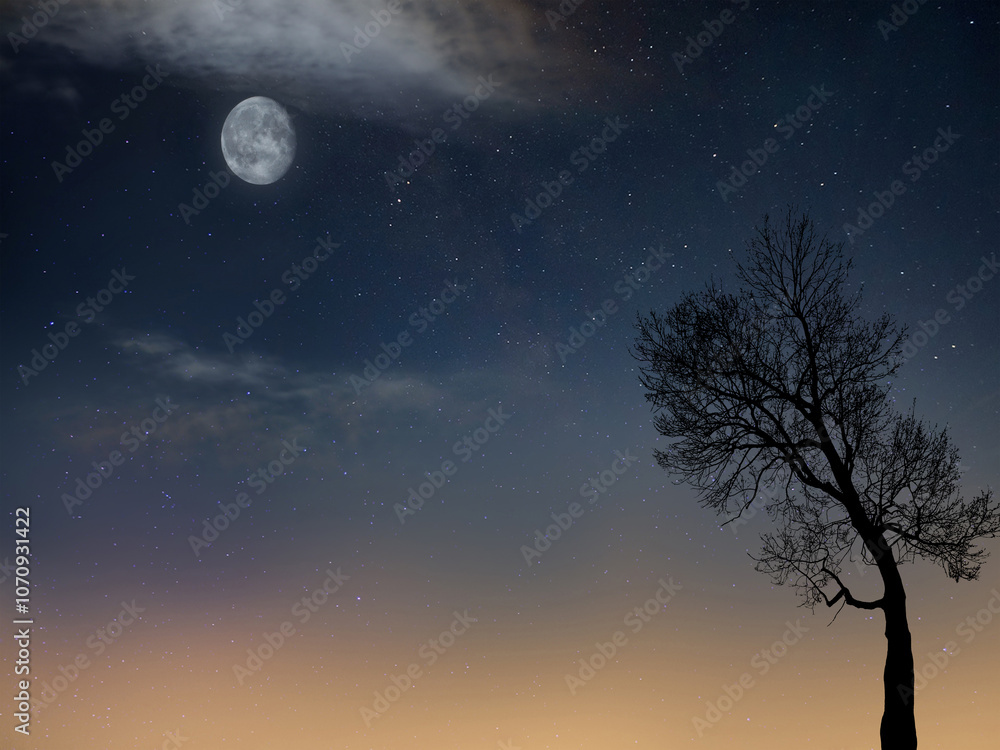 tree in twilight during dawn with the moon tree in twilight during dawn with the moon