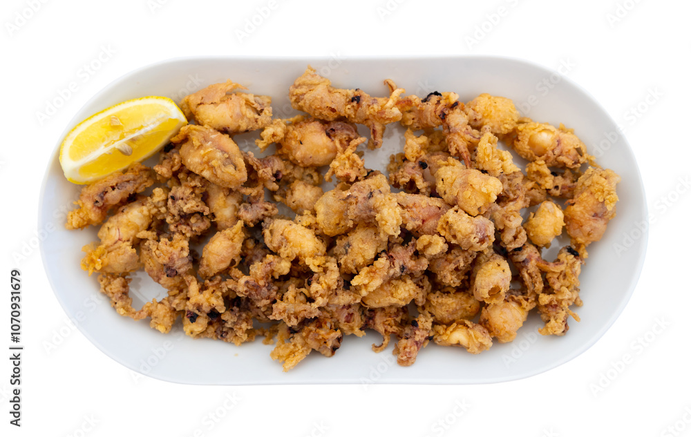 Portion of fried small whole squid with tentacles is served on plate. Seafood appetizer, cooked shellfish, hearty whole seafood meal. Isolated over white background Portion of fried small whole squid with tentacles is served on plate. Seafood appetizer, cooked shellfish, hearty whole seafood meal. Isolated over white background