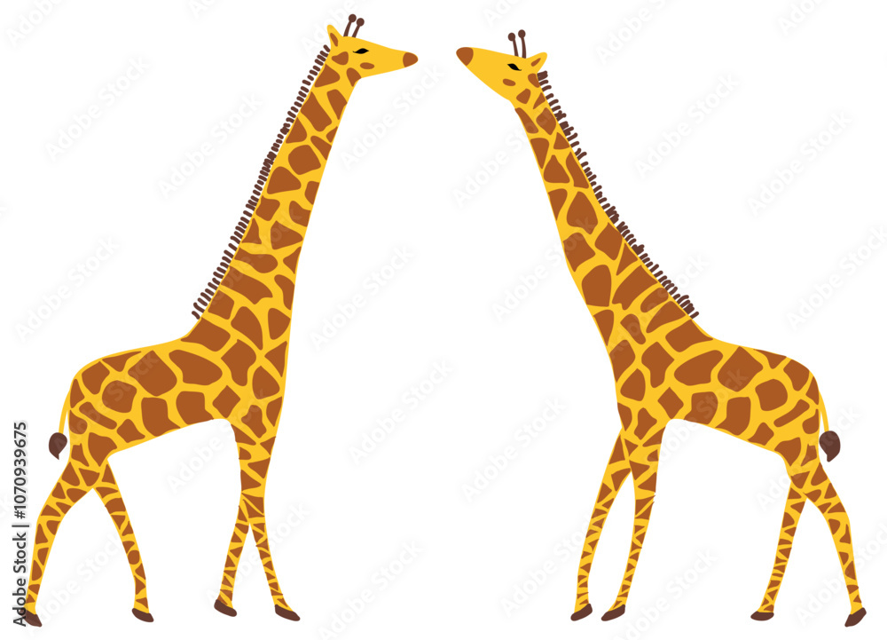 Fototapeta premium Flat design vector illustration of two giraffes full figure seen from the side