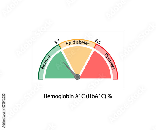Hemoglobin A1C, HbA1c test , HbA1c levels, Glucose sticks to hemoglobin, glycated hemoglobin, up to 120 days. A1C Blood Sugar Test, Diabetes Mellitus, Infographic, Vector illustration.