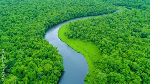 A river meandering through dense forest, sustaining a diverse range of plant and animal life